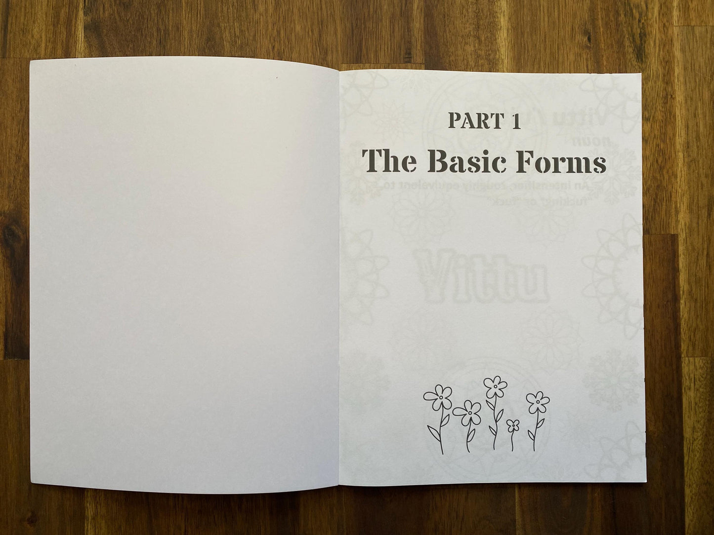 Swear Like A Finn; Finnish Curseword Coloring Book